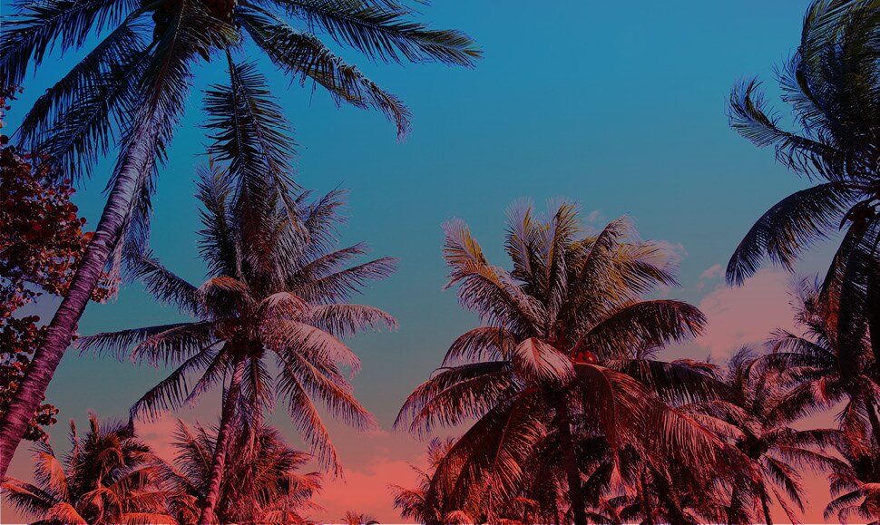 Print Coupon Details